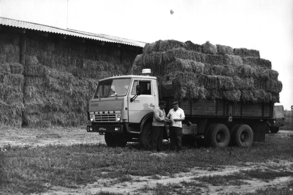 Motol History15