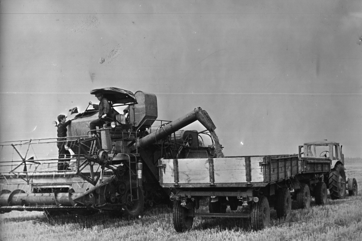 Motol History19