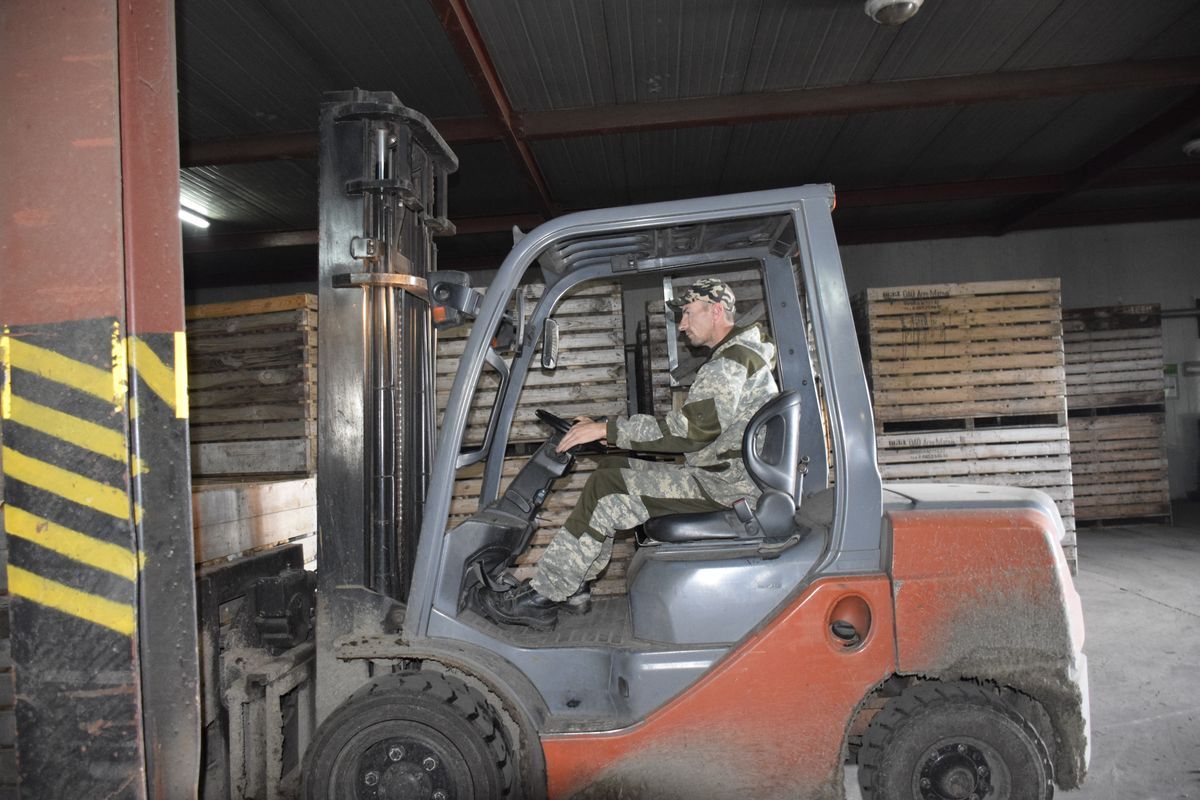 motol kartoshka 1