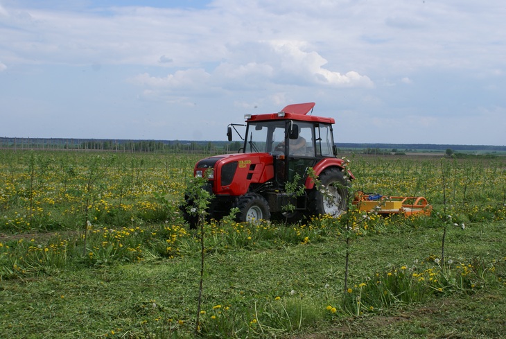Sadovodstvo 6