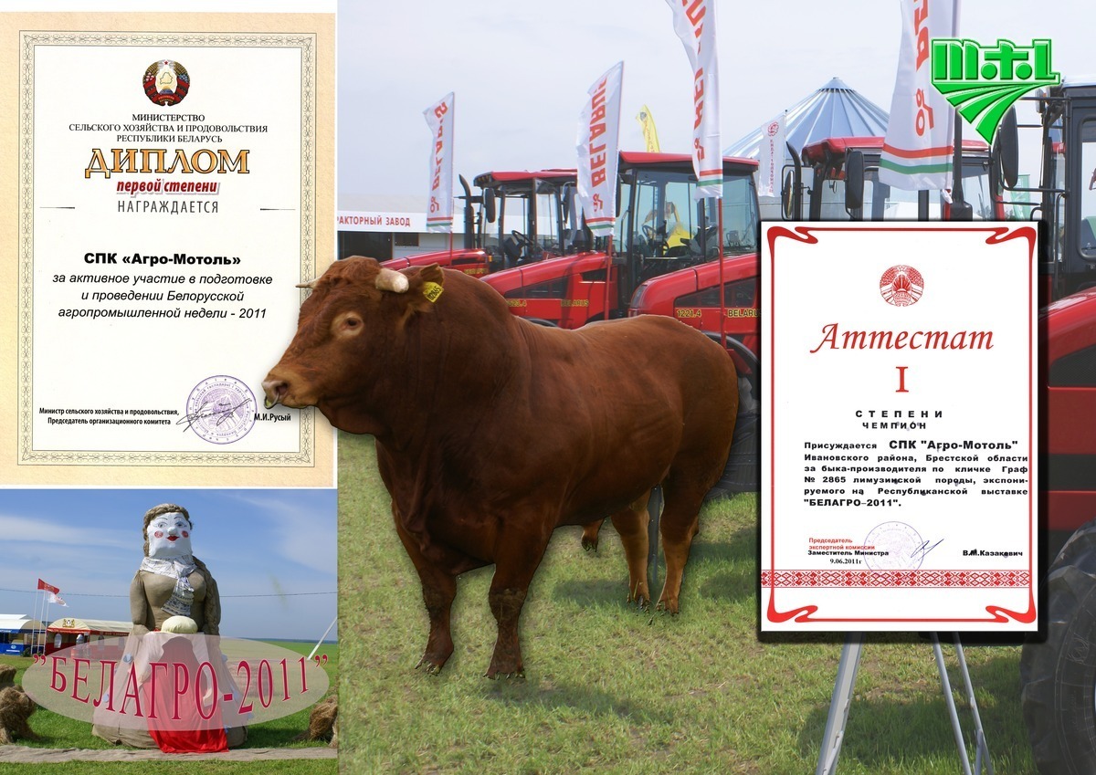 Motol Zhivotnovodstvo02