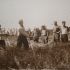 Motol History08